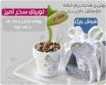 خرید پستی  لوبیای سحرآمیز فارسی